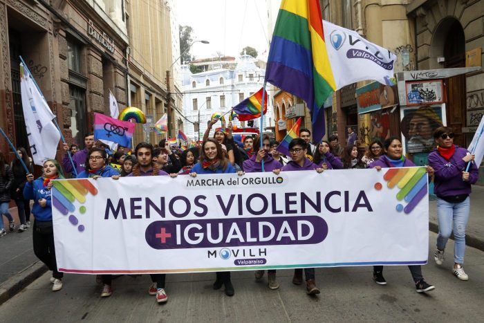 Parlamentarios ofician a diversos Ministerios por su responsabilidad en la prevención y castigo por casos de violencia contra disidencias sexuales