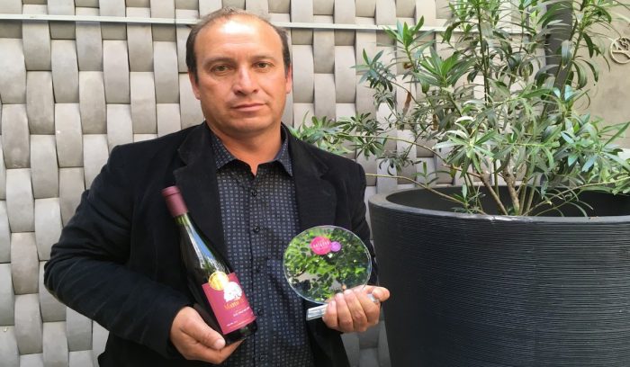 Vinos ancestrales: productor de Coelemu se transforma en el mejor de su categoría en Catad’Or Wine Awards
