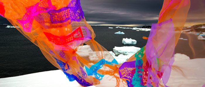 Para celebrar el día de la Antártica: vuelven charlas “Bajo Cero” con ciencia, arte y ciencia ciudadana