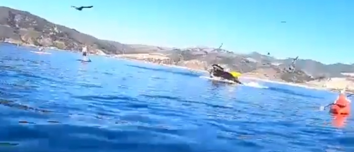 Dos kayakistas casi son devoradas por una ballena en las aguas de Avila Beach en California