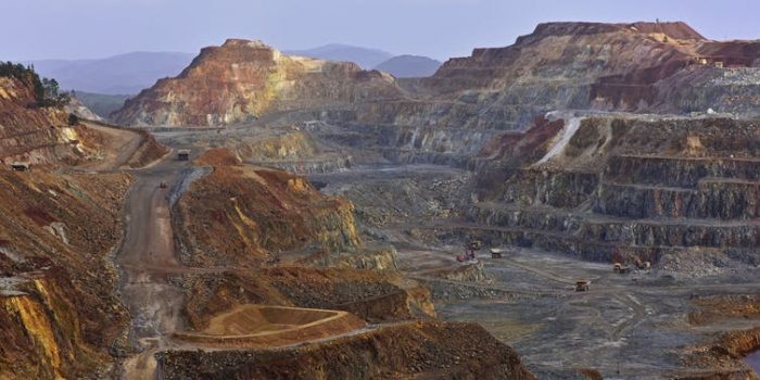 Cómo utilizar plantas y estiércol para extraer minerales de los suelos contaminados