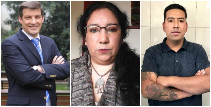 Stingo, Vidal y Lepin Aniñir: RD oficializa a los tres primeros nombres de independientes en su elenco a la Convención Constitucional