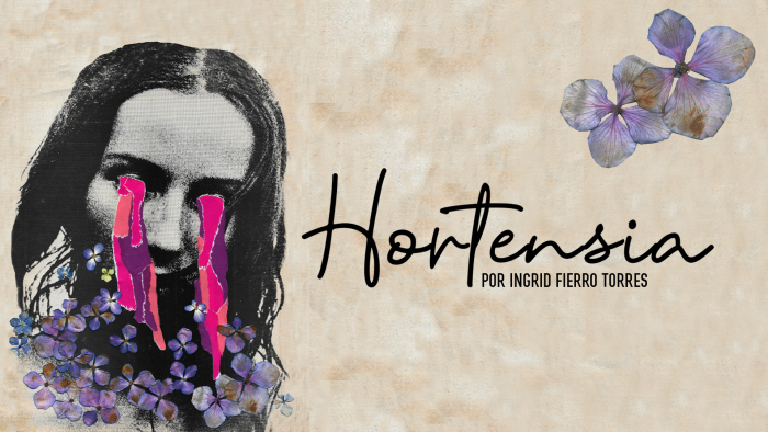 “Yo leo hortensia”: el teatro que traspasa el escenario y llega al papel  reflexionando sobre la violencia hacia las mujeres
