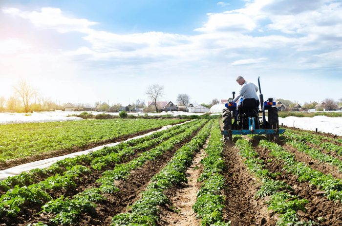 Cambio global y sostenibilidad agroalimentaria: una mirada posrevolución verde
