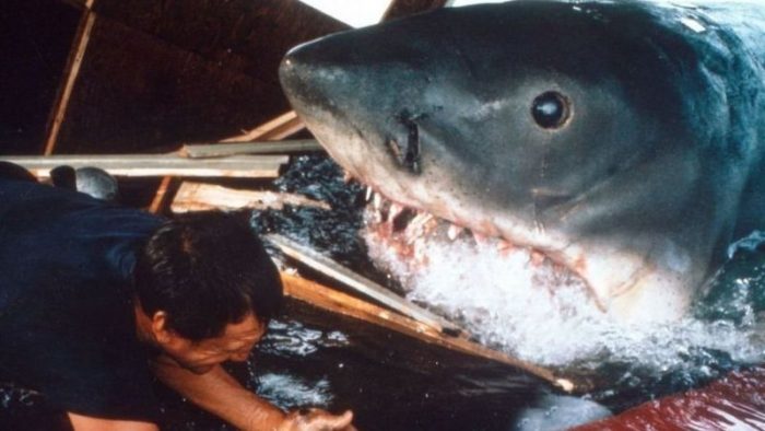 Peter Benchley: el sentimiento de culpa que hizo que el autor de «Tiburón» dedicara el resto de su vida a proteger a estos animales