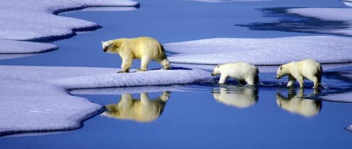 Estudio asegura que la desaparición mundial del hielo se está acelerando