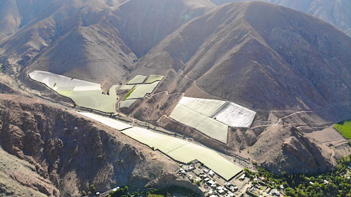 Innovadoras mallas sombreadoras en el norte de Chile disminuyen hasta en 25% el requerimiento de agua