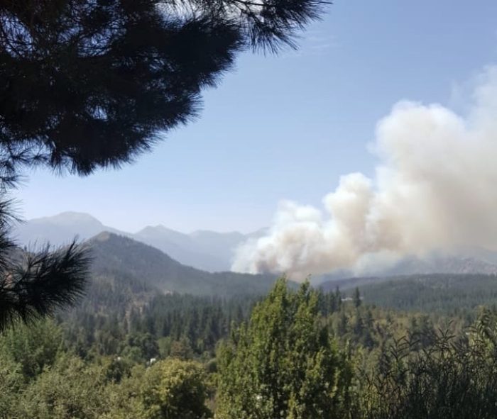 Alerta roja para San Fernando por incendio forestal: Onemi solicitó evacuar Sierras de Bellavista