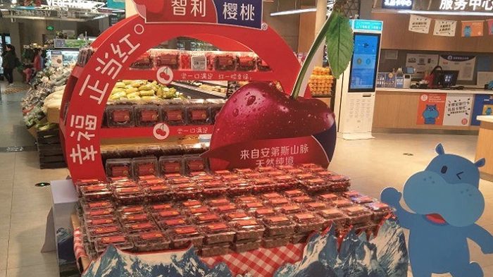 «Las cerezas no pueden infectarse»: embajador de Chile en China despeja dudas tras vinculación de frutos con coronavirus