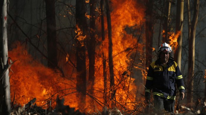 Reportan un 65% menos de superficie afectada durante esta temporada de incendios forestales
