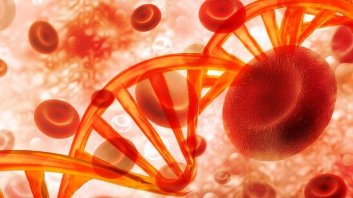 La mutación genética que provoca colesterol alto y es una de las enfermedades hereditarias más comunes en el mundo