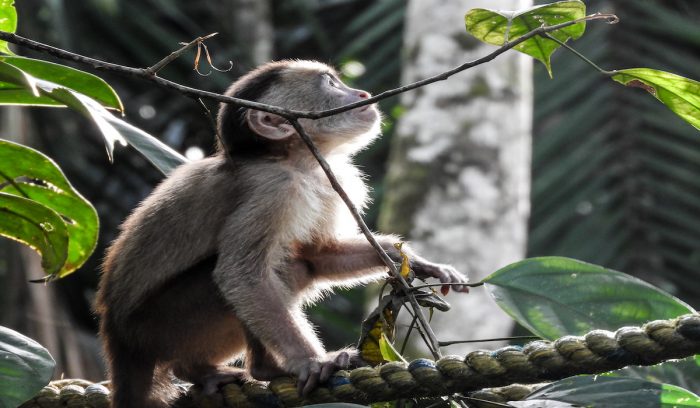 Colombia estrena su primera guía para el turismo de naturaleza