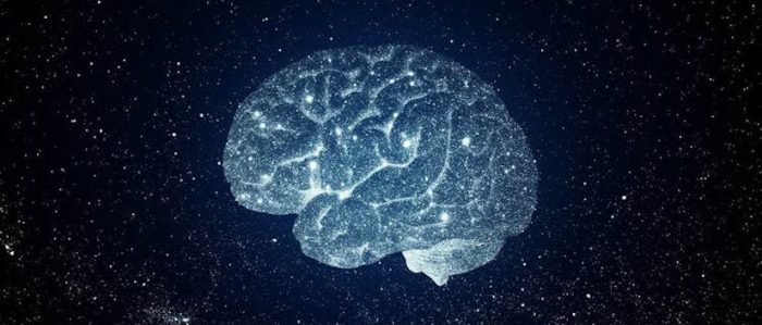 Cerebro y universo: ¿evolucionan de la misma forma?