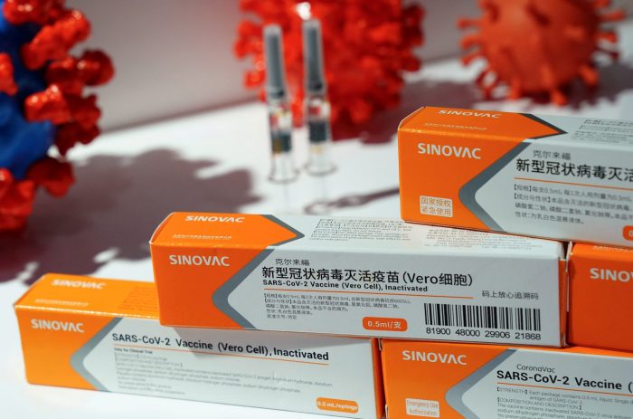 Capacidad neutralizante de vacuna de Sinovac se reduce tres veces frente a variable «andina» según estudio de la U. de Chile