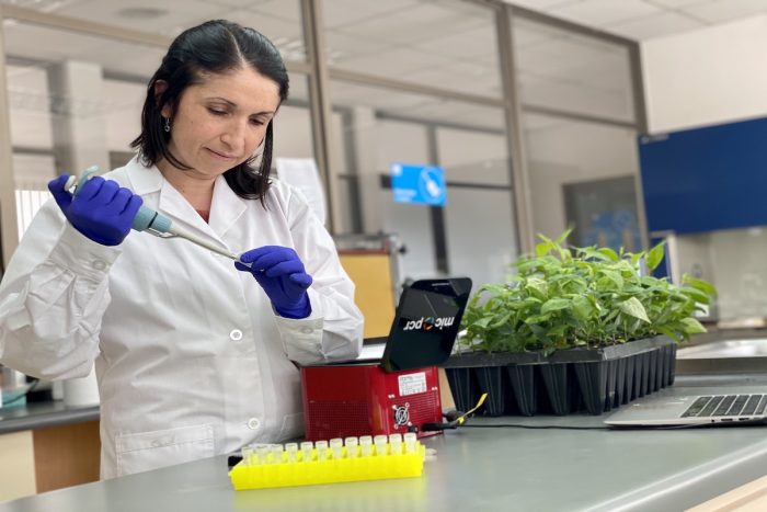 Investigadora chilena desarrolla innovador sistema de PCR para identificación genética de frutales en tiempo récord