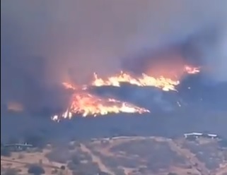 Mega incendio de Curacaví ya se encuentra controlado y afectó cerca de 450 hectáreas