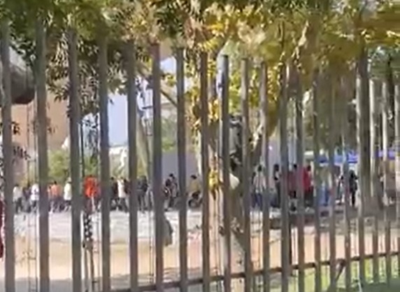 Sin mascarillas ni distanciamiento: Carabineros detiene a 17 personas por fiesta en el anfiteatro del Parque Bustamante