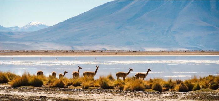 Chile hacia a un nuevo modelo de turismo