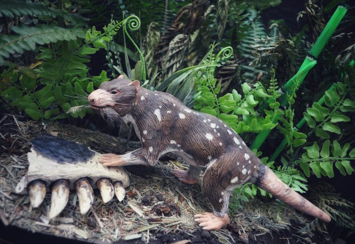 El nuevo mamífero de la Era de los Dinosaurios descubierto en la Patagonia Chilena