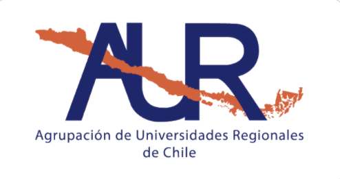 Agrupación de Universidades Regionales acusan «mirada centralista» en el proyecto de ley de patrimonio cultural