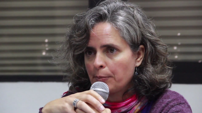 Corina Rodríguez, especialista en economía feminista y la idea de redireccionar la actual economía hacia una en que la sostenibilidad de la vida esté al centro
