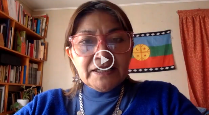 Elisa Loncon, constituyente mapuche: “Las naciones originarias no estamos hablando de independencia, estamos hablando del ejercicio del derecho político para determinar su presente y su futuro”