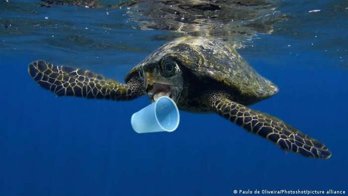 El 80 % de la basura del mar proviene de productos plásticos como bolsas y botellas