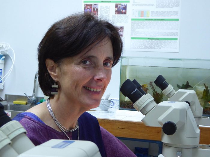 Académica de centro de neurociencia de Valparaíso es elegida presidenta  de sociedad científica internacional