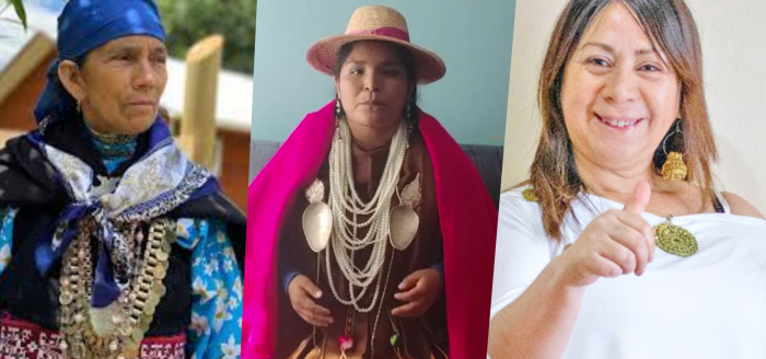 Verónica Figueroa Huencho: “Las mujeres constituyentes de pueblos originarios representan una perspectiva de género que está cruzada por una violencia estatal”
