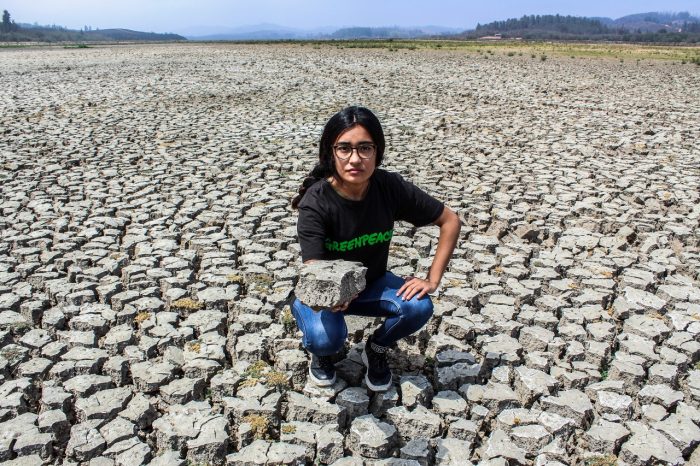 Greenpeace advierte en el Día Mundial de Lucha contra la Desertificación y la Sequía: «La disponibilidad de agua podría bajar un 50% dentro de los próximos 10 años”