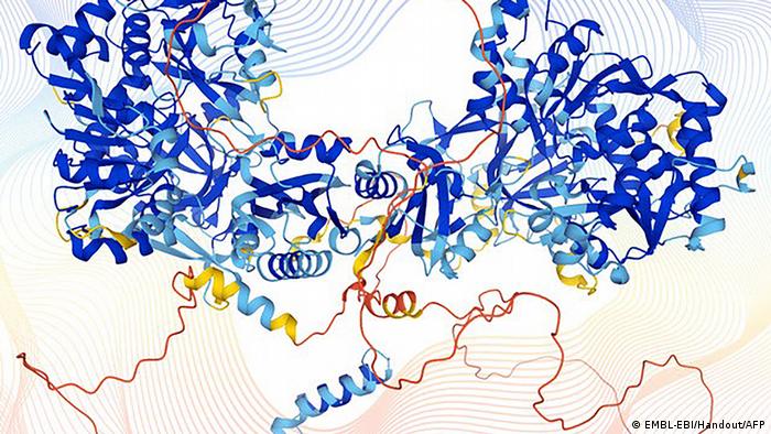 Inteligencia artificial predice la forma de las proteínas humanas y abre nueva era en la biología