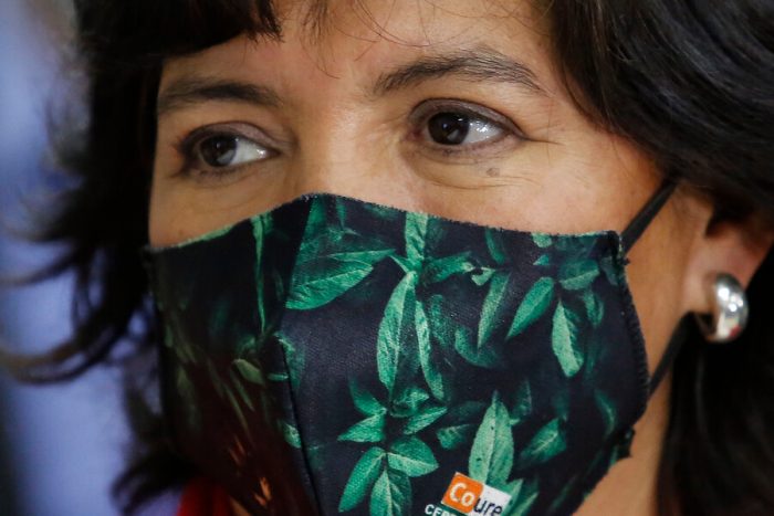 En una de sus primeras actividades como precandidata presidencial Yasna Provoste fue increpada y expulsada de feria en Puente Alto