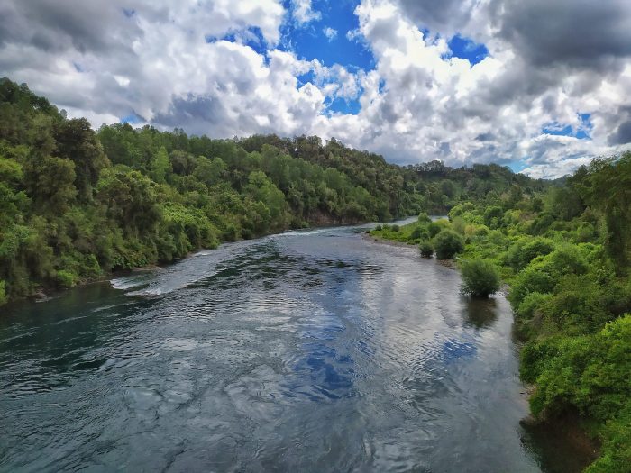 El río San Pedro y su tesoro biológico ancestral