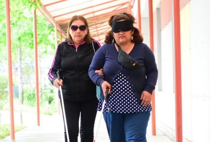 Convención Constitucional: qué esperan las personas con discapacidad