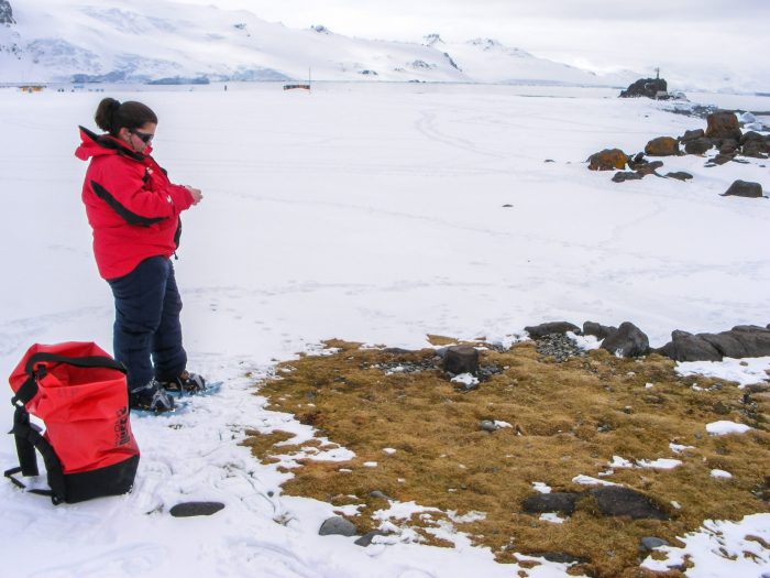 La investigadora cubana que cuida miles de plantas antárticas en Chile
