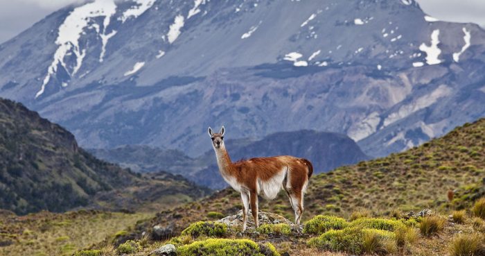 Time Magazine reconoce al Parque Nacional Patagonia como uno de los 100 destinos más extraordinarios del mundo