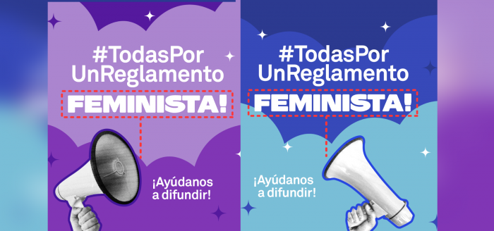 «Todas por un reglamento feminista para la Convención»