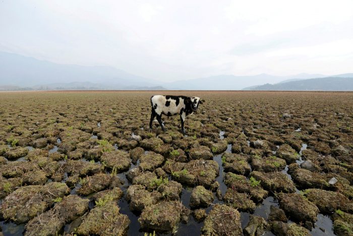 Cambio climático alimenta «mancha» caliente oceánica que causa una megasequía en Chile