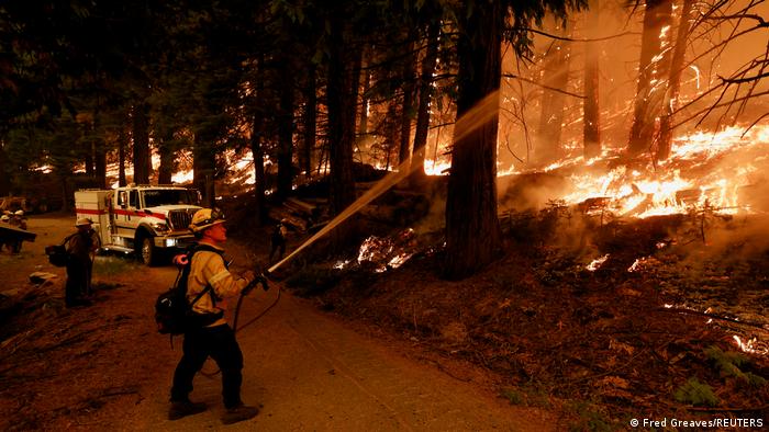 Incendios en California han arrasado con 72 mil hectáreas y se han evacuado más de 22 mil personas