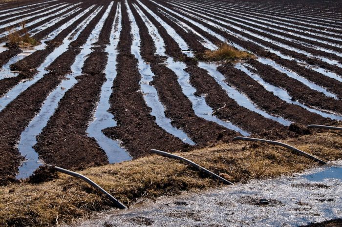 Un sistema agrícola sustentable y dentro de los límites planetarios aporta a frenar la crisis climática y de biodiversidad