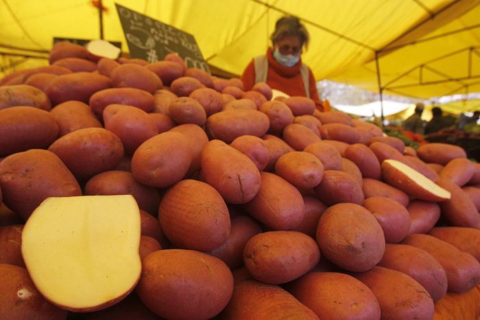 Estudio revela que precio de alimentos en Chile subió 50% desde la pandemia