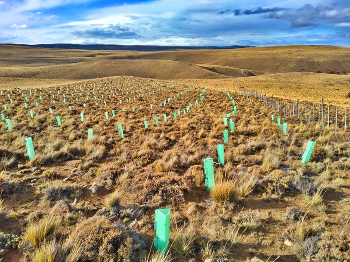 Miguel Torres, Patagonia y la irresponsable mitigación del cambio climático