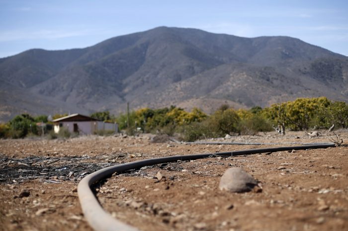 Ministerio de Agricultura decretó emergencia agrícola en la región del Biobío