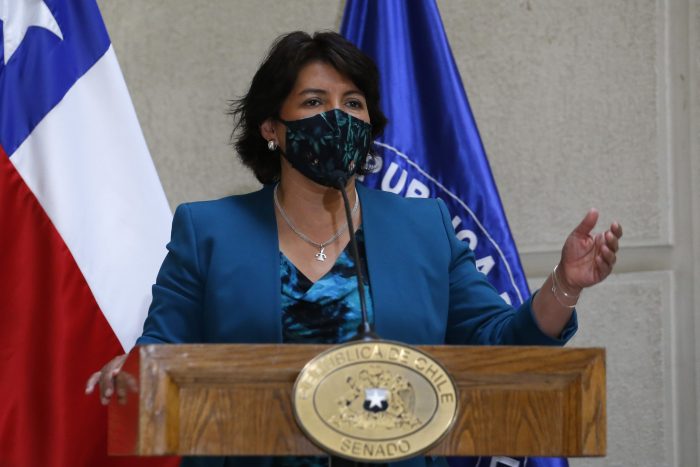 Yasna Provoste a ministro Bellolio: «Tiene que clarificar si es parte de la campaña política»