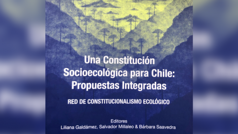 Miradas: “Una Constitución Socioecológica para Chile: Propuestas integradas de la Red de Constitucionalismo Ecológico”