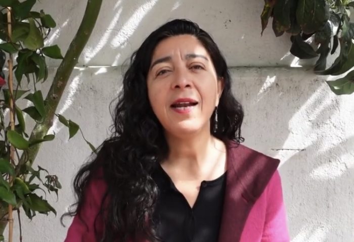 La teleserie de Tania Madriaga: convencional no reemplazará como vicepresidenta adjunta a Rojas Vade y acusa “error político”