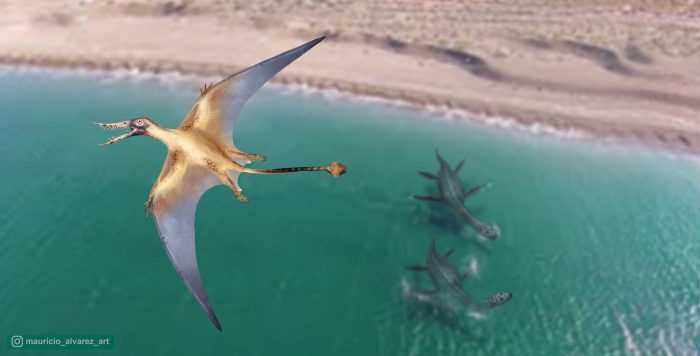 Hallazgo en el desierto de Atacama: enigmático «dragón volador» del Jurásico por primera vez en el Hemisferio Sur