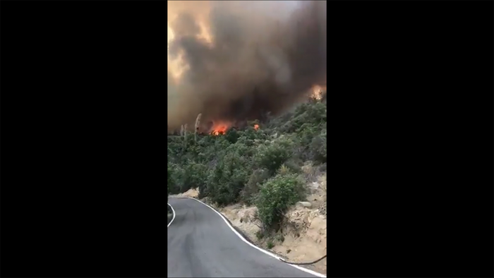 Incendio forestal en Tiltil: declaran alerta roja por siniestro que afecta a más de 100 hectáreas y ha quemado al menos 12 casas
