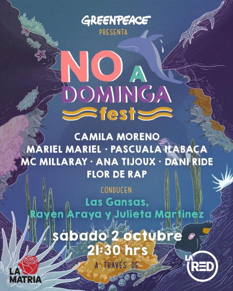Artistas, ambientalistas y líderes de opinión se unen en festival para  decir “No a Dominga”