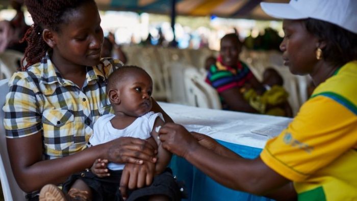 Malaria: la histórica aprobación por parte de la OMS de la primera vacuna contra la enfermedad (y por qué ha tardado tanto)